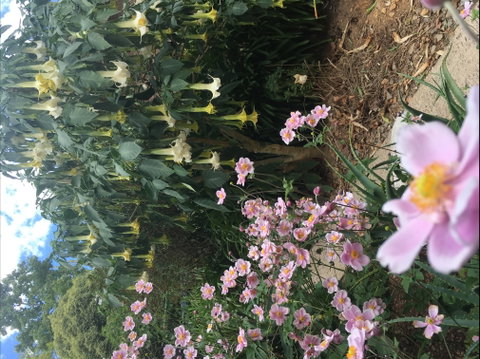 Adelaide Hills B&B Accommodation - Accommodation Cairns 7