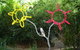 Adelaide Hills B&B Accommodation - thumb 8