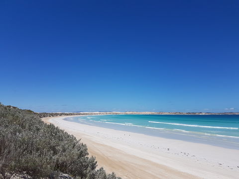 Coffin Bay National Park Campgrounds - Accommodation Cairns 0