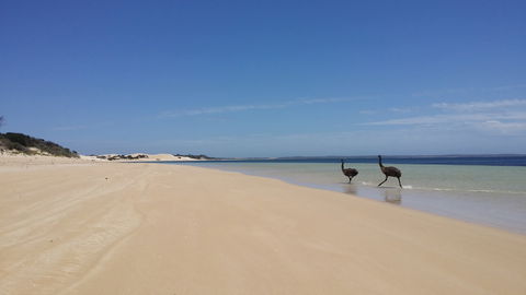 Coffin Bay National Park Campgrounds - Accommodation Cairns 3