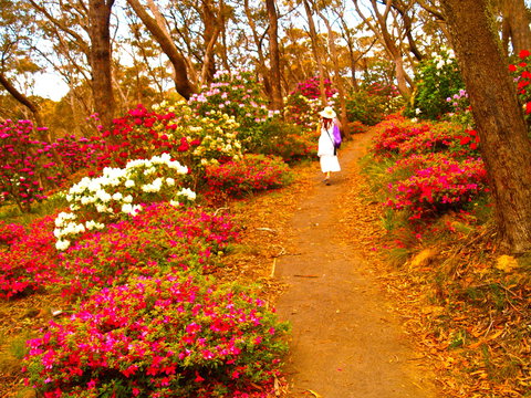 Gardners Inn Hotel Blackheath - Accommodation Cairns 4