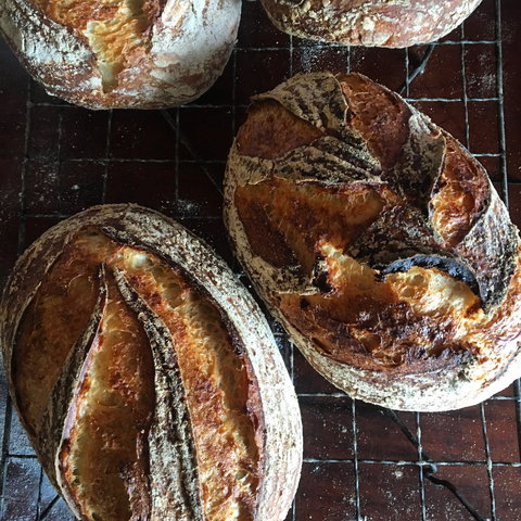 Girragirra Retreat - Accommodation Cairns 5