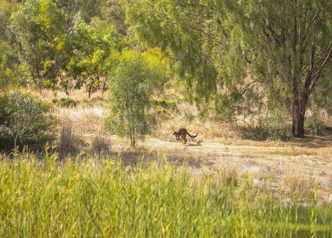 Girragirra Retreat - Accommodation Cairns 7