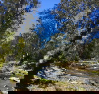 Highfield Farm and Woodland Bush Campsites - Accommodation Cairns