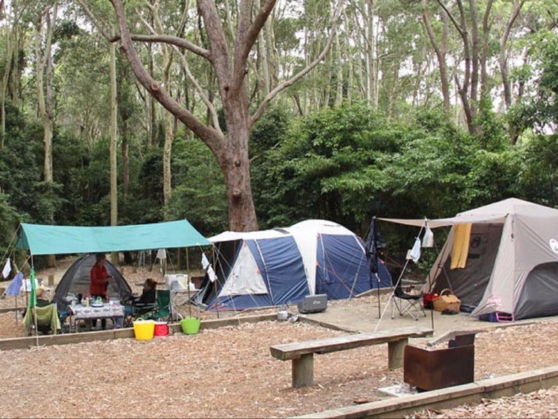 Whiteman Creek NSW Accommodation Cairns