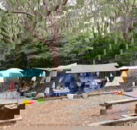 Pebbly Beach campground - Yuraygir National Park - Accommodation Cairns