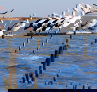 Pelican Perch Retreat - Accommodation Cairns