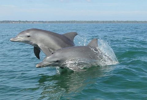 Port Mandurah Canals - Luxury Guest House - Accommodation Cairns 8