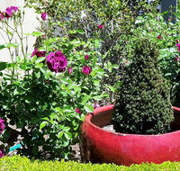Armidale Pines Motel - Accommodation Cairns