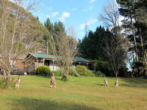 Cedar Lodge Cabins - Accommodation Cairns 0