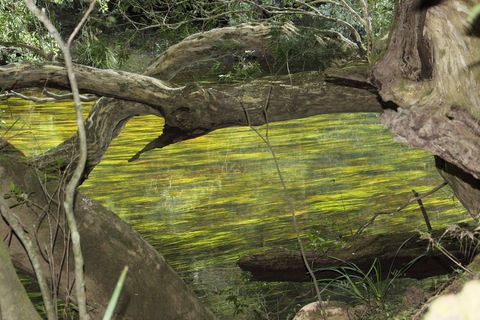 Clyde River Retreat - Accommodation Cairns 2