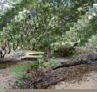 Eungella National Park camping - Accommodation Cairns