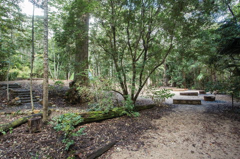 Eungella National Park Camping - Accommodation Cairns 0