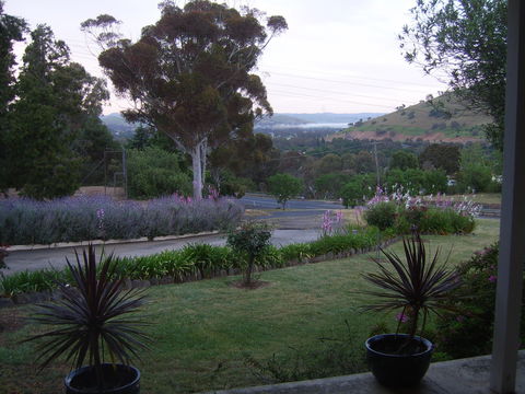 Garden Motor Inn (Golden Chain) - Accommodation Cairns 3
