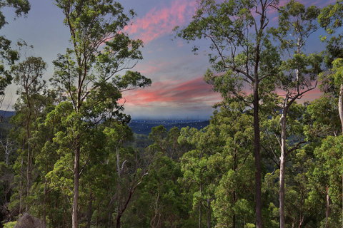 Gold Coast Tree Houses - Accommodation Cairns 2