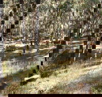 Greenbah campground - Accommodation Cairns