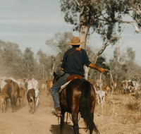 Bullo River Station - Accommodation Cairns