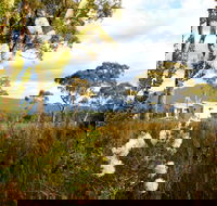 Buttongrass Retreat - Accommodation Cairns