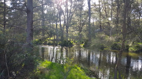 Glenroy Cottages - Accommodation Cairns 0