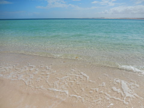 Gnaraloo Station - Accommodation Cairns 0