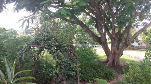 Rosehill Apartments - Accommodation Cairns 2