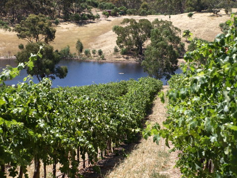 Se7en On Sevenhill - Accommodation Cairns 0