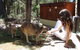 Yelverton Brook Eco Spa Retreat And Conservation Sanctuary - thumb 0