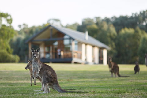 Yering Gorge Cottages - Accommodation Cairns 0