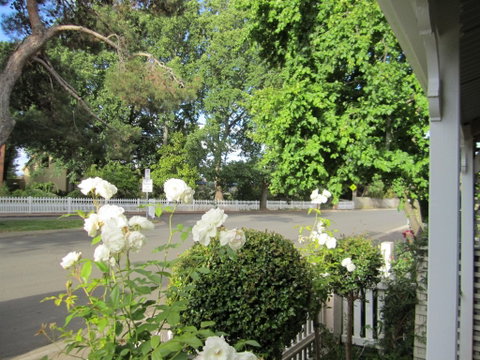 Arendon Cottage - Accommodation Cairns 1