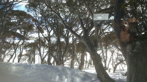 Barina Milpara Lodge - Accommodation Cairns 1