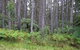 Daisy Plains Huts - thumb 1