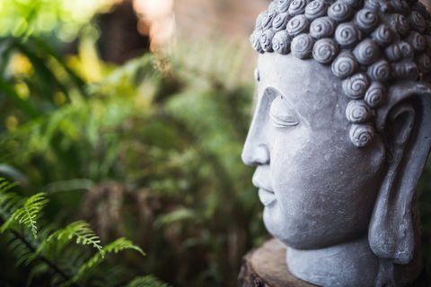 Happy Buddha Retreats - Accommodation Cairns 0