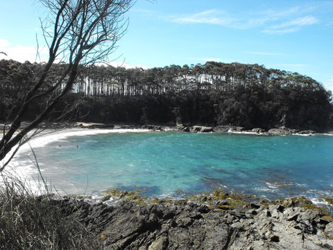 Lilli Pilli Beach Bed And Breakfast - Accommodation Cairns 2