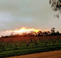 The Grove Distillery and Brewery - Accommodation Cairns