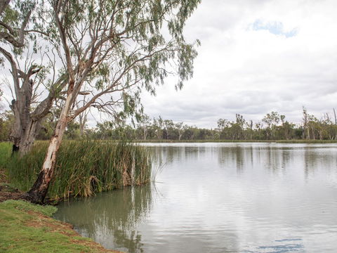 The River Block - Accommodation Cairns 2
