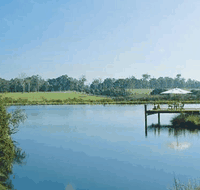 Forest Rise Eco Retreat - Accommodation Cairns