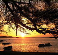 Pelican's Nest - Accommodation Cairns