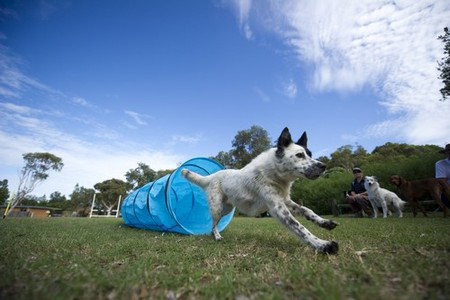 North Beach Holiday Park - Accommodation Cairns 1