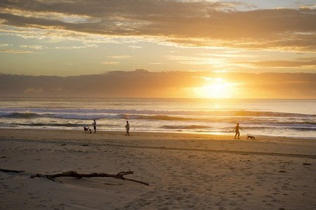 North Beach Holiday Park - Accommodation Cairns 4