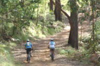 Craigmhor Mountain Retreat - Accommodation Cairns 2