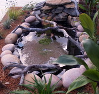 Equal Balance Bed and Breakfast - Accommodation Cairns