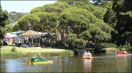 Misty Valley Country Cottages - Accommodation Cairns 2