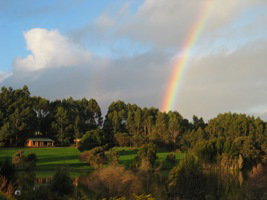 Pemberton Lavender And Berry Farm Cafe And Cottages - Accommodation Cairns 3