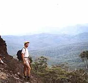 Mimosa Hill Wildflower Farm Cottages - Accommodation Cairns