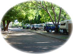 Town Caravan Park - Accommodation Cairns 5