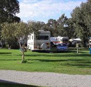 Pinjarra Caravan Park - Accommodation Cairns