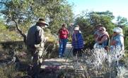 Eneabba North WA Accommodation Cairns