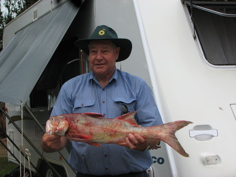 Armstrong Beach Caravan Park - Accommodation Cairns 2