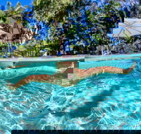 BIG4 Ballina Headlands Holiday Park - Accommodation Cairns
