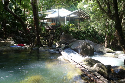 Daintree Secrets Rainforest Sanctuary - Accommodation Cairns 2
